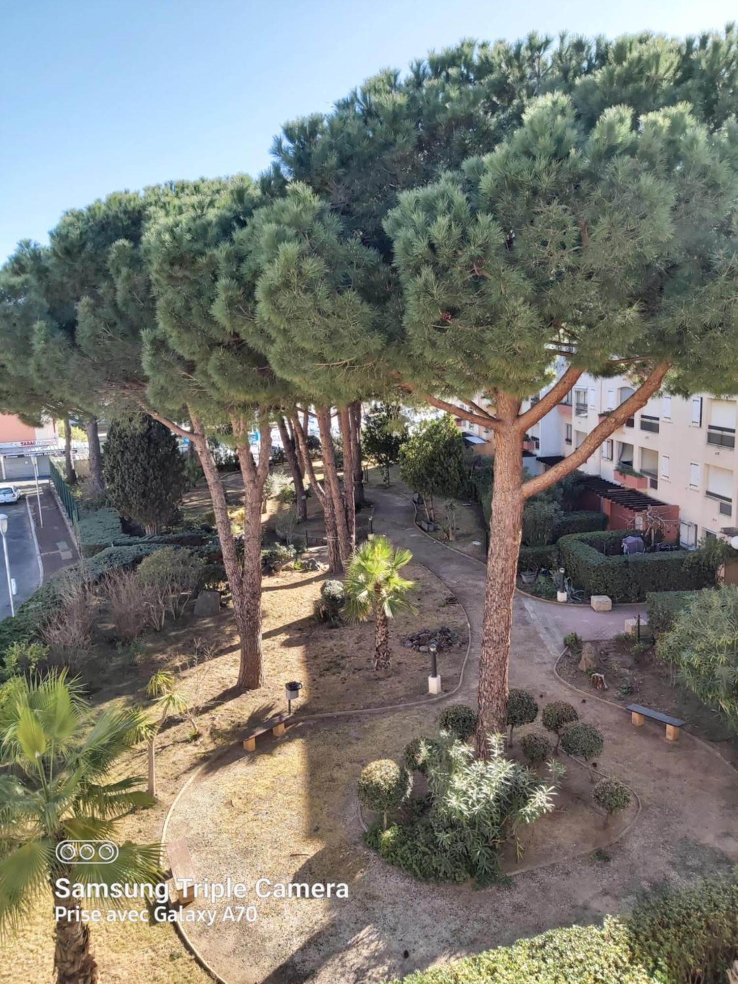 Coquet Studio Centre Port Cap D'Agde Eksteriør bilde